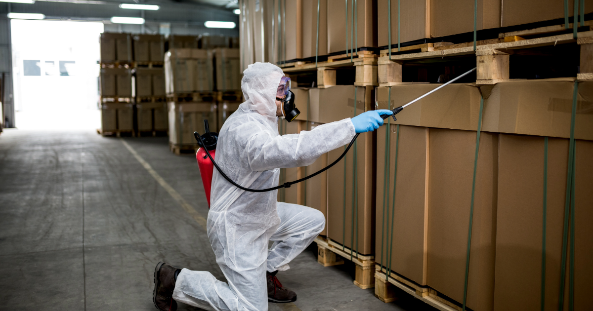 commercial pest control technician spraying