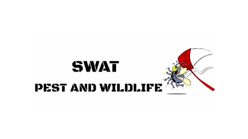 Swat Pest Wildlife Removal | Oxford MA | Pest Control