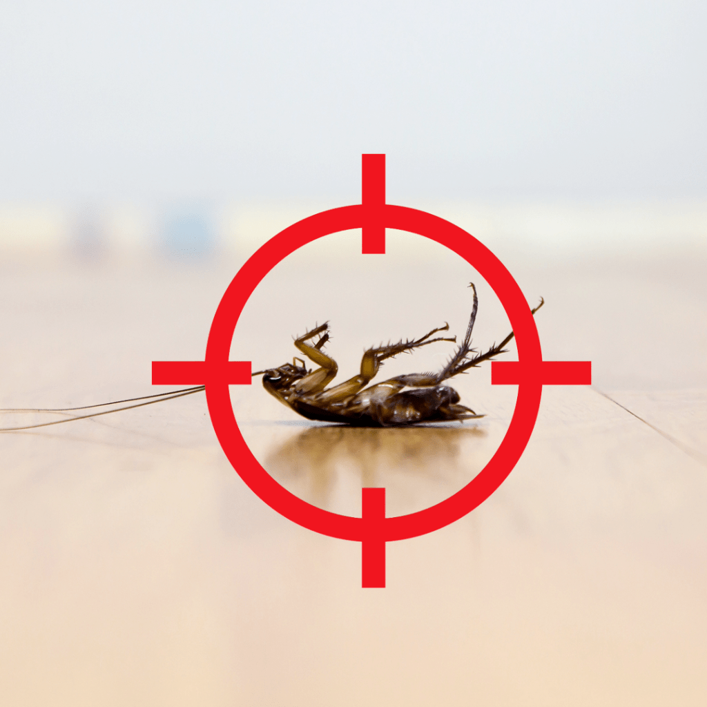 pest target | Swat Pest Wildlife Services | Oxford MA