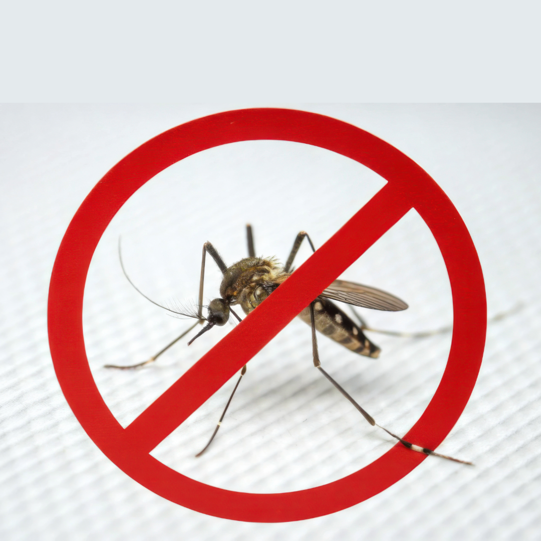 no mosquitos allowed sign