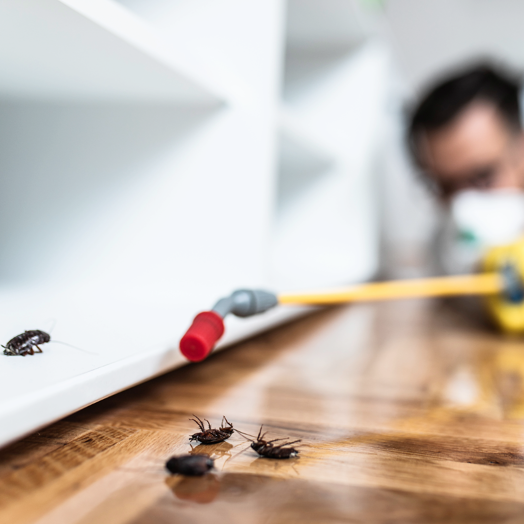 Residential Pest Control Technician spraying