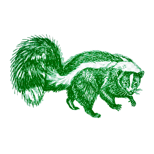 Skunk Removal | SWAT Pest Wildlife | Oxford MA