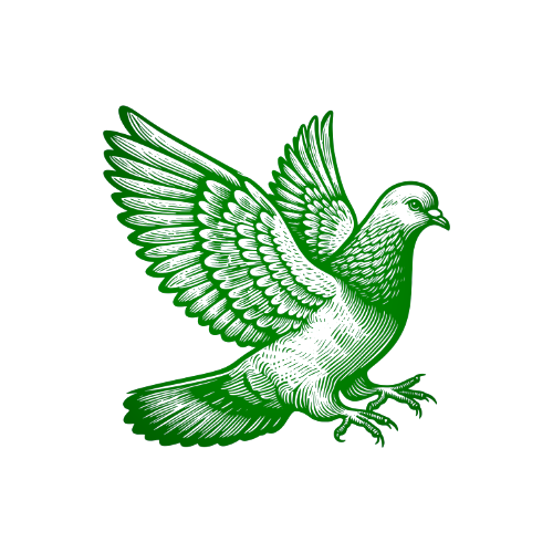 Bird Removal | SWAT Pest Control | Oxford MA