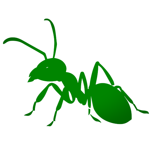 ant control | Oxford MA | SWAT