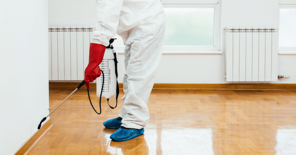 Pest control technician spraying in Oxford, MA home