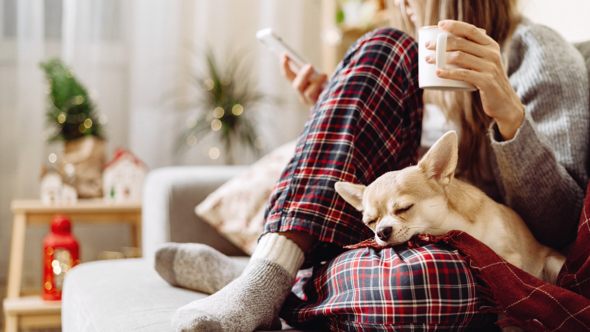 Relaxing in Massachusetts home with dog in winter