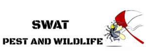 Swat Pest Wildlife Removal | Oxford MA | Pest Control
