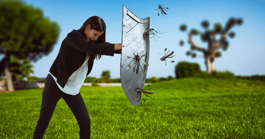 mosquito shield in central Massachusetts